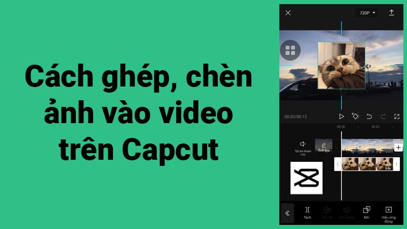 Hướng Dẫn Chèn Ảnh Vào Video Bằng CapCut Trên Điện Thoại