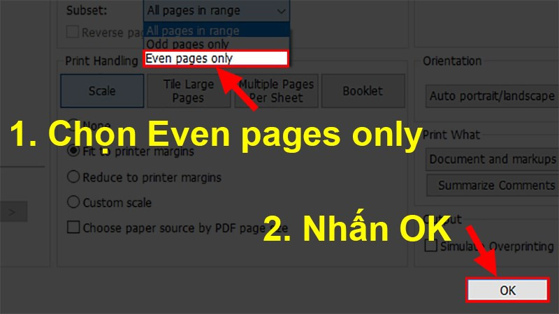 Chọn Even pages only (Chỉ in trang chẵn) &gt; Nhấn OK