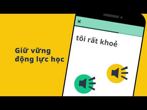 Memrise - Giao diện bài học