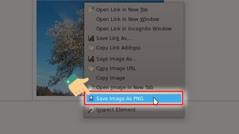 Sử dụng tiện ích "Save Image as PNG"