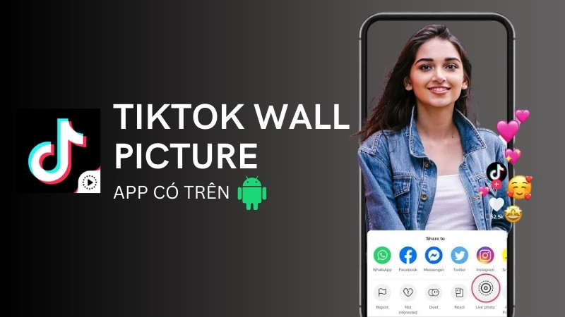 TOP 5 Ứng Dụng Tải Video TikTok Miễn Phí Không Logo Cho Android và iOS