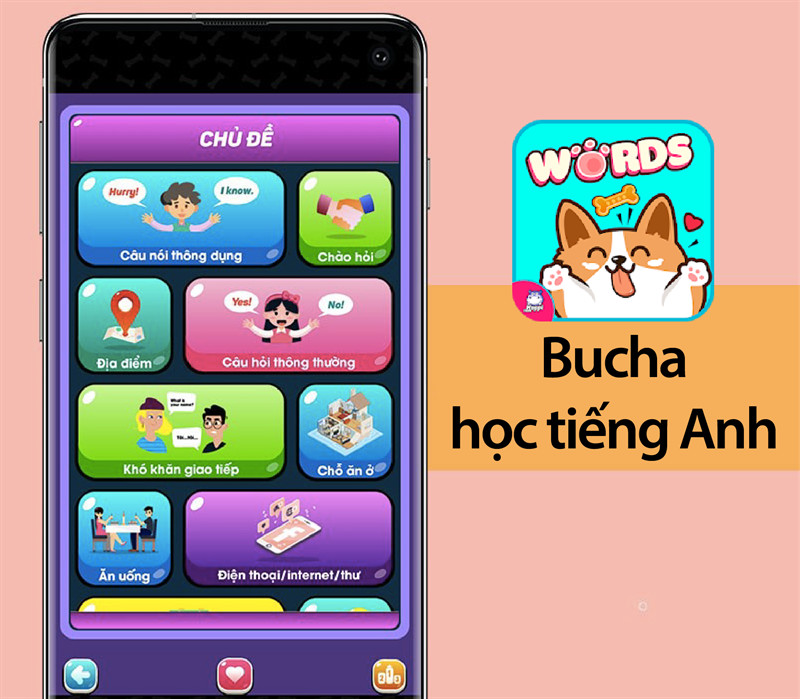 Ứng dụng Bucha học tiếng Anh