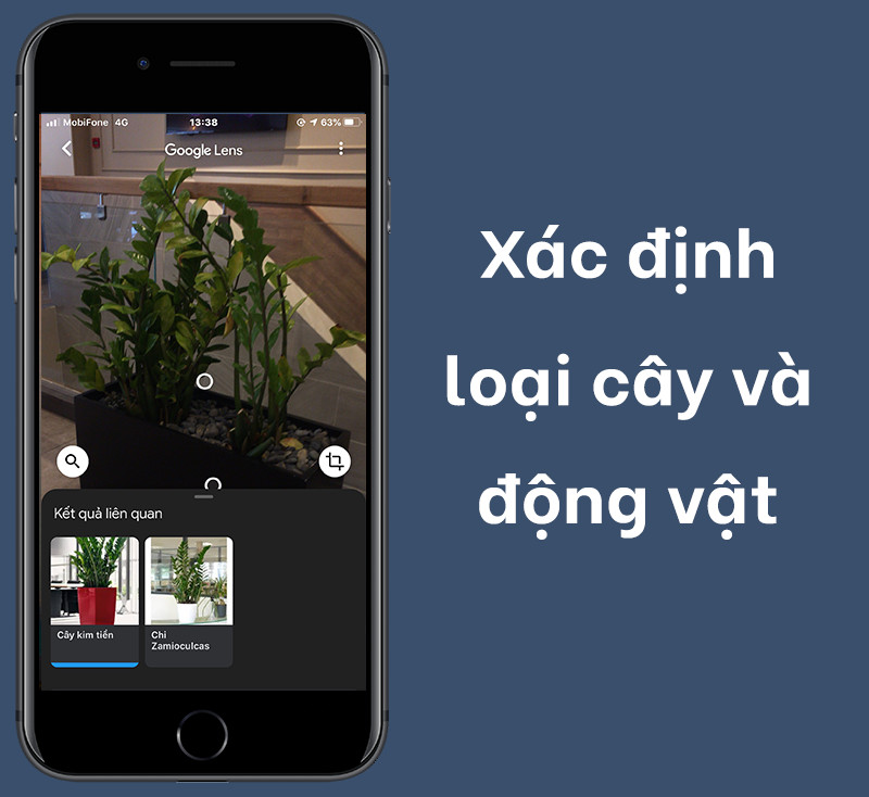 Xác định loại cây và động vật