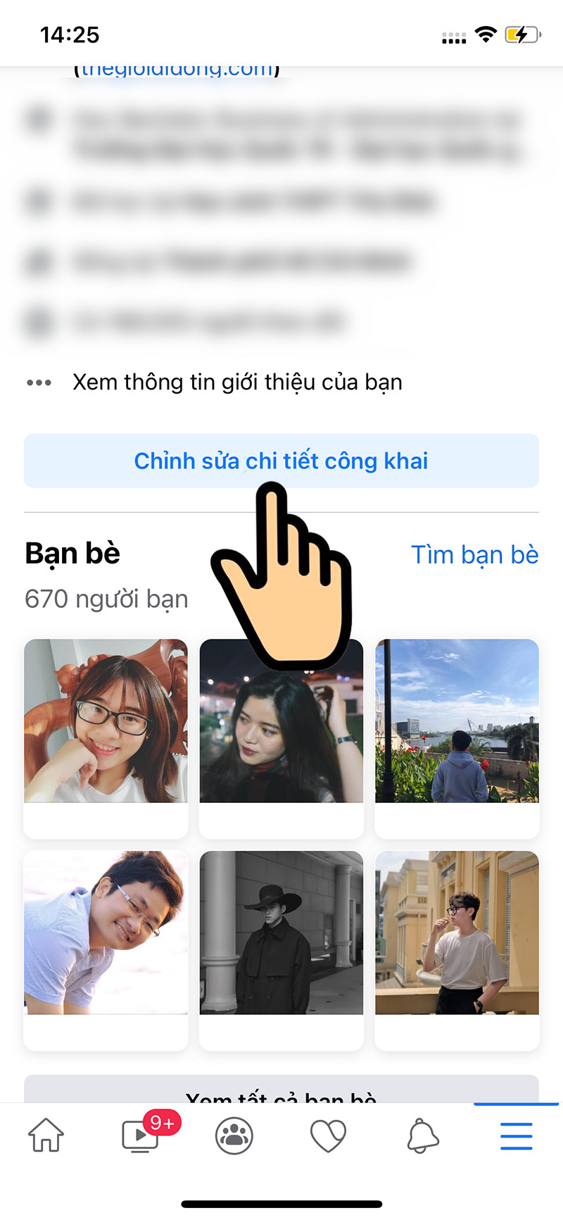 alt text: Màn hình chỉnh sửa chi tiết công khai trên ứng dụng Facebook di động