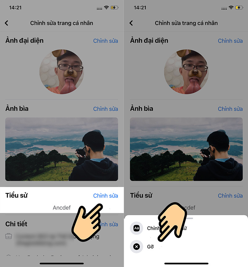 alt text: Xóa tiểu sử trên Facebook