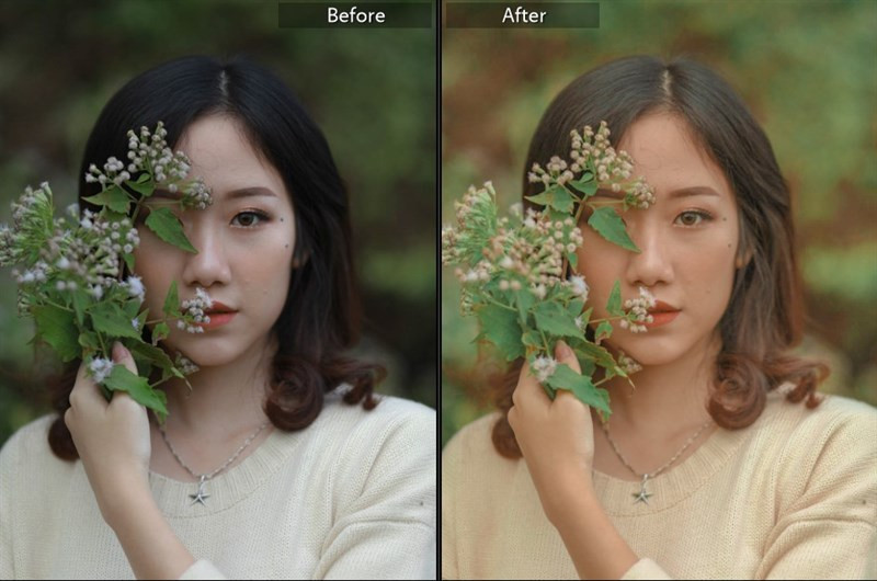 Hơn 40 Preset Lightroom Màu Nắng Miễn Phí Cho Bức Ảnh Lung Linh