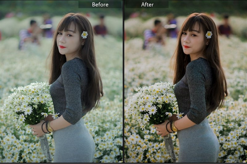 Hơn 40 Preset Lightroom Màu Nắng Miễn Phí Cho Bức Ảnh Lung Linh