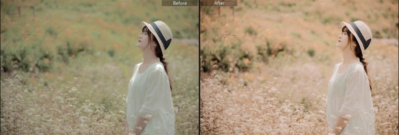 Hơn 40 Preset Lightroom Màu Nắng Miễn Phí Cho Bức Ảnh Lung Linh