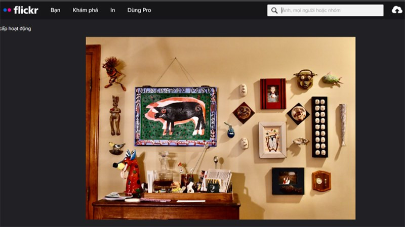 Flickr: Thiên Đường Chia Sẻ Ảnh Chất Lượng Cao