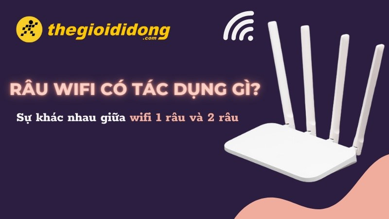 Râu wifi và phạm vi phát sóng