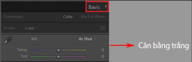 Thông số cân bằng trắng trong mục Basic