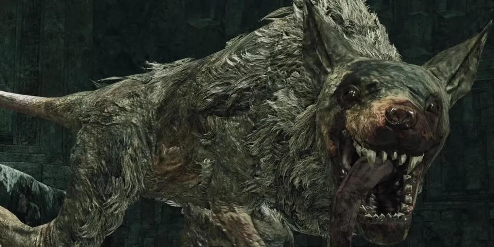 Boss Chuột Chúa (Royal Rat Authority) ở Doors of Pharros, Dark Souls 2