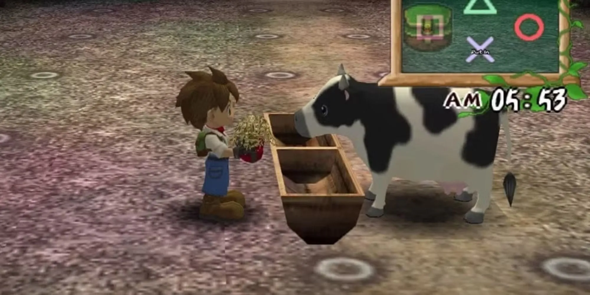 Người chơi cho bò ăn cỏ khô trong game mô phỏng cuộc sống Harvest Moon A Wonderful Life