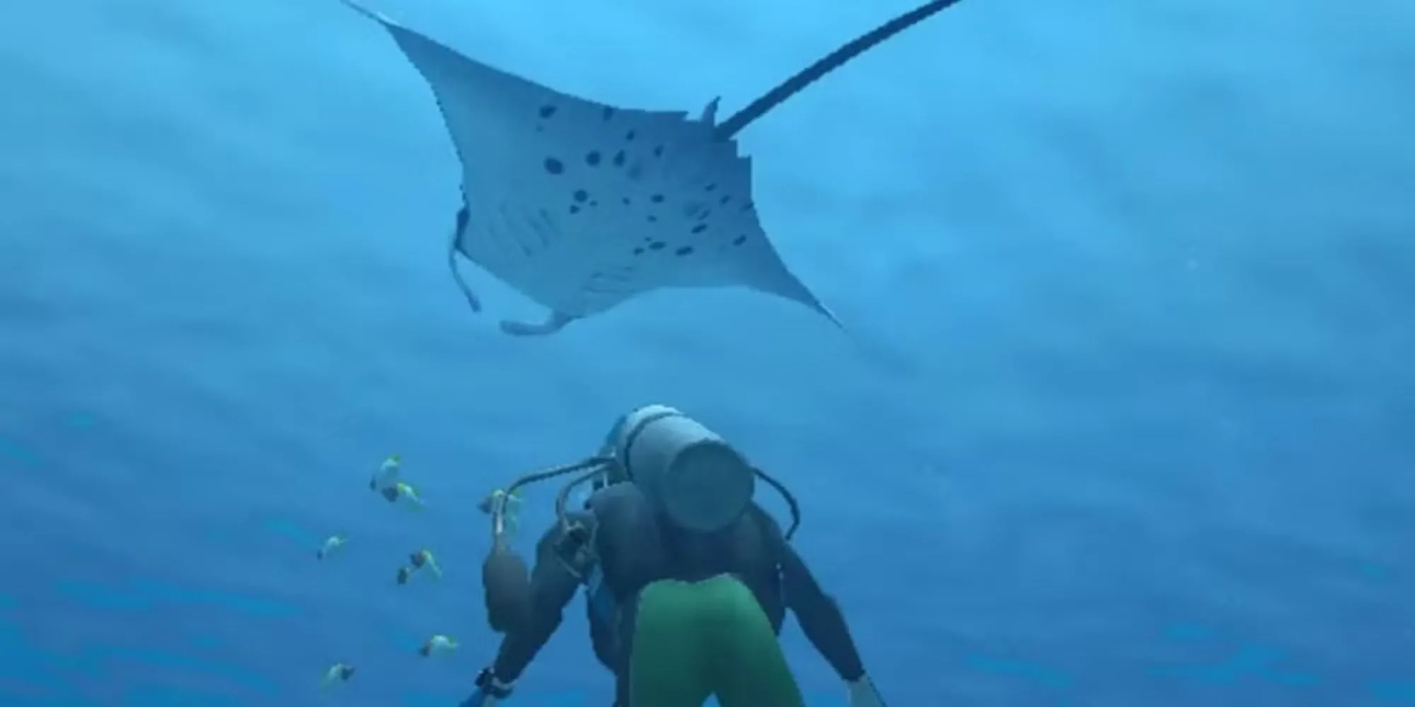 Nhân vật người chơi quan sát cá đuối manta dưới lòng đại dương trong game Endless Ocean trên Wii