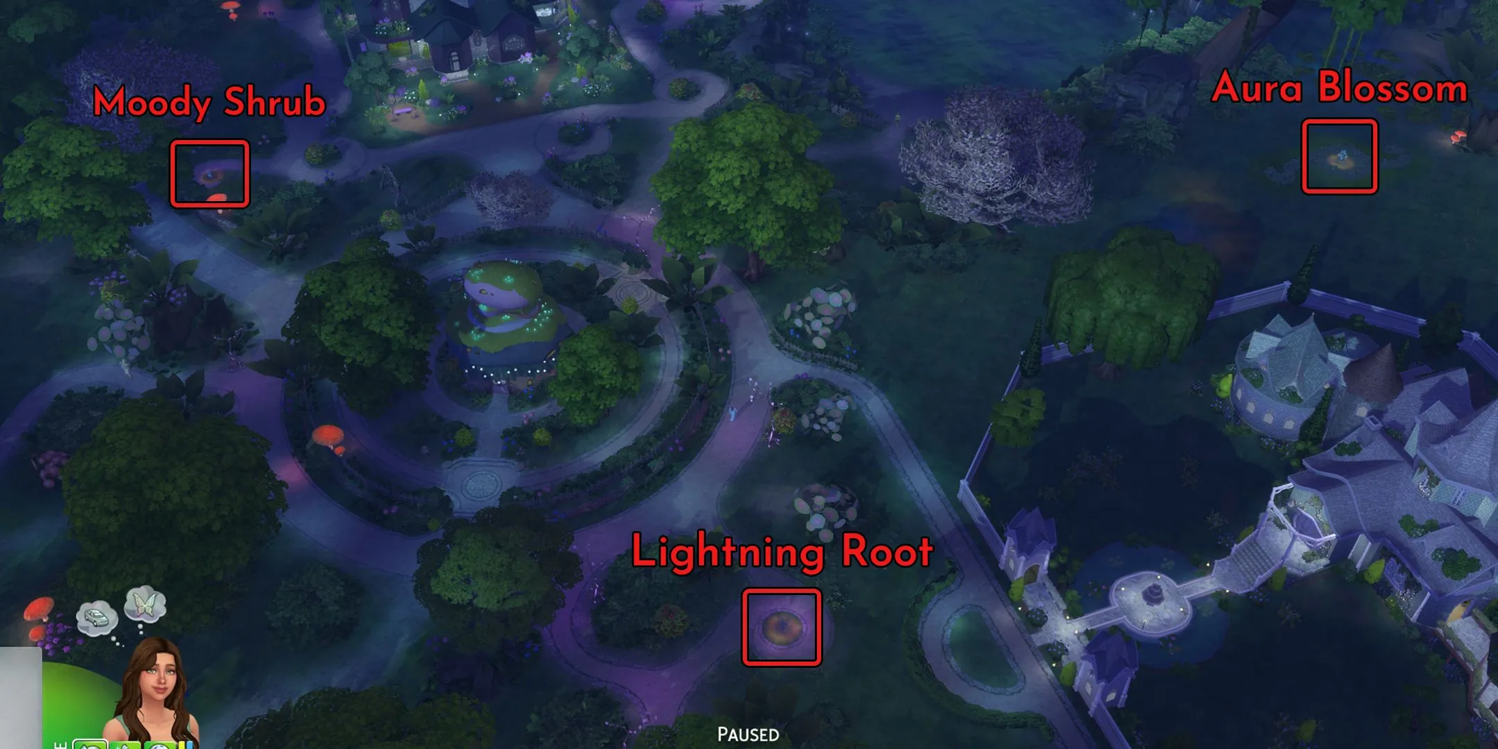 Cây Aura Blossom nở rộ bên cạnh ao tiên, nguồn cung cấp Aura Petals miễn phí trong The Sims 4