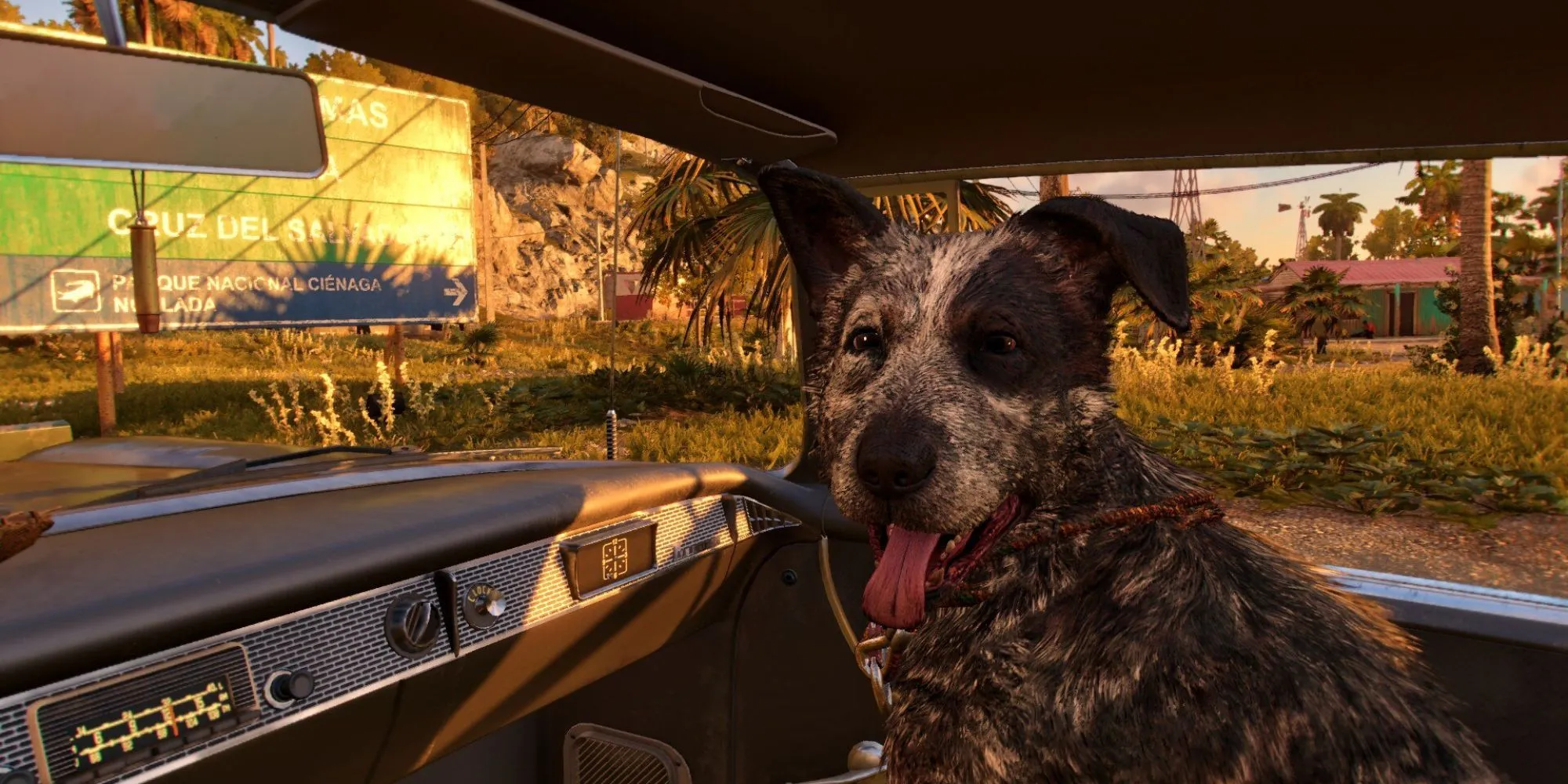 Chú chó Boom Boom, bạn đồng hành đáng yêu trong game Far Cry 6, ngồi trên xe.