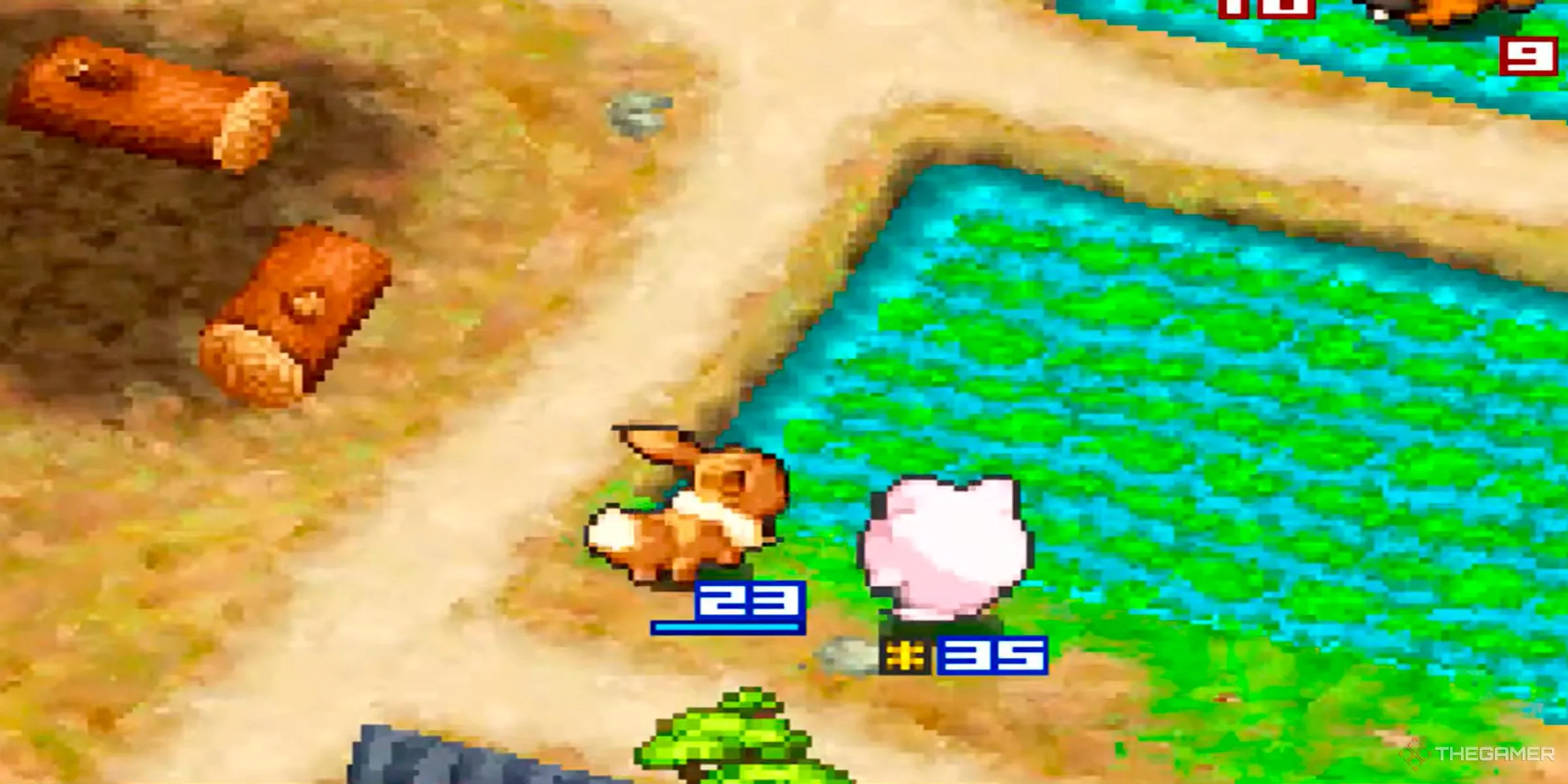 Eevee và đồng đội Jigglypuff trên chiến trường chiến thuật của Pokémon Conquest.